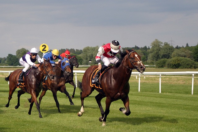Online Betting 101